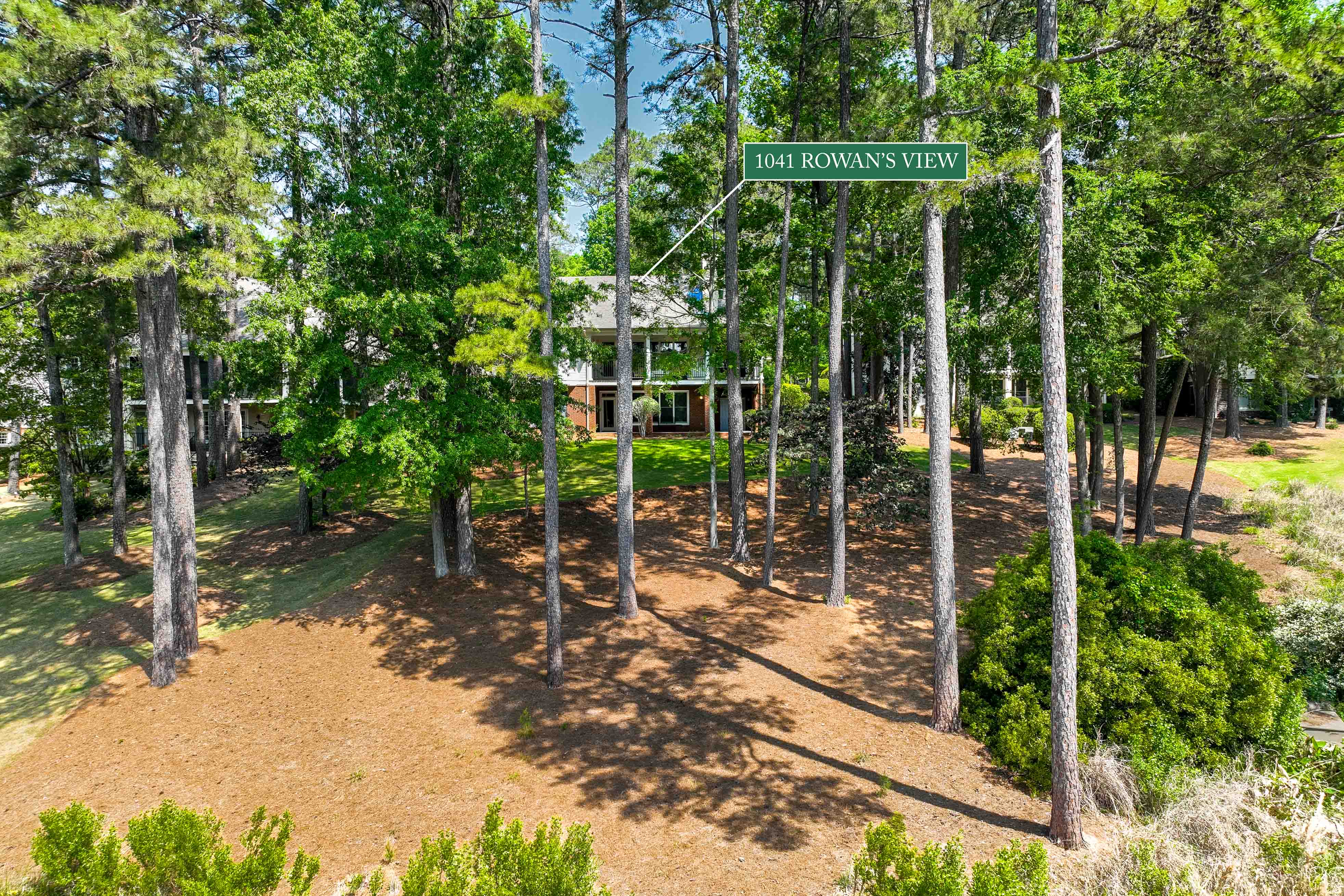 1041 Rowan's View image 46